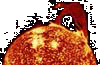 Visitez le Soleil